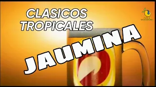 CLASICOS TROPICALES ❌️  JAUMINA 🍺🍻🇵🇾