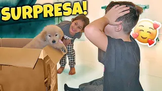 SURPREENDI A MANU FILHA DO UJOÃOZINHO COM UMA CACHORRINHA