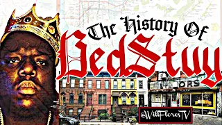 The History Of Bed Stuy 🗽 #brooklyn #newyork