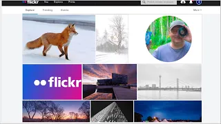 Flickr 2023 stream with Foveonych and @foveonyc