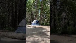 Peace and quiet in the woods of Lake Arrowhead #lakearrowhead #camping #socal #travel #adventure