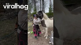 Horse Enjoying Neck Scratches || ViralHog