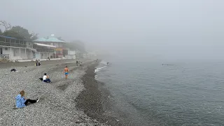 КРЫМ - Алушта в тумане. Видео снято 23 октября 2023г. Профессорский уголок, Набережная, море, цветы.