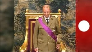 Albert II de Belgique : portrait d'un roi populaire