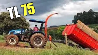 New Holland TL75 e Massey ferguson 275 fazendo silagem