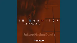 In Dormitor (feat. Minelli) (Future Nation Remix)