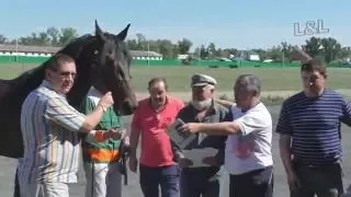 Бега-Заезд 3 лет . Абаканский ипподром 4.06.16 САПЕР, ЗАКРЕПИТЕЛЬ,  ПЬЕРО