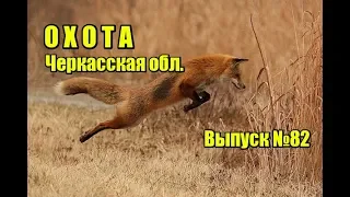 Охота | Черкасская область | Выпуск №82 (UKR)