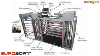 EUROSORT. AUTOMATIC SORTING SYSTEM