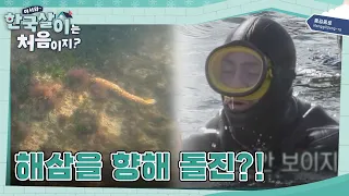 눈앞에 해삼을 두고 찾지 못하는 남아공 돌고래 저스틴🐬 l #어서와한국살이는처음이지 l #MBCevery1 l EP. 02