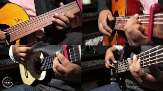 TE AMO / RENACER Folk / video demo + tutorial guitarra