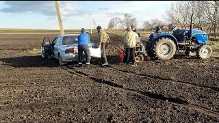 Сезон розпочали Які ціни щоб посіяти?