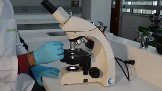 Manejo del Microscopio