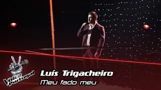 Luís Trigacheiro - "Meu Fado Meu" | Live Show | The Voice Portugal