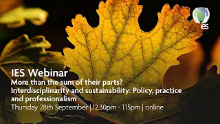 Interdisciplinarity and sustainability: Policy, practice and professionalism