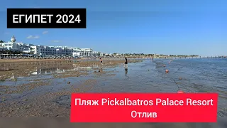 ЕГИПЕТ 2024| Пляж Pickalbatros Palace Resort. Отлив.