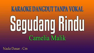 SEGUDANG RINDU Camelia Malik - Karaoke Tanpa Vokal