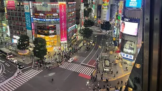 JAPANS BIGGEST CAR MEET! DAIKOKU PA