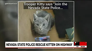 Nevada State Police rescue kitten on Las Vegas Valley highway