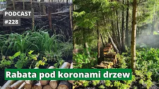 228. Rabata pod koronami drzew. Podcast.