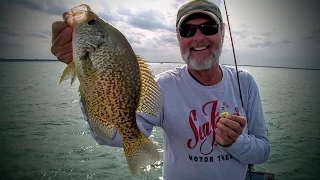 Artificial Crappie