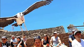 Palmitos Park, Gran Canaria, Canary Islands, Spain