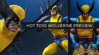 Hot toys Wolverine Animated Version Hono