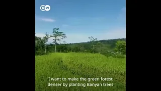 Indonesian man plants 250 hectares to help his community
