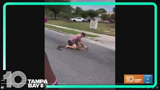 Florida man wrestles alligators wandering the streets