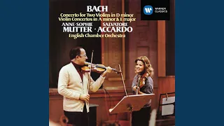 Violin Concerto No. 2 in E Major, BWV 1042: I. Allegro