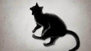 Доброе утро с кошками смешные 2019 - Смешное видео МатроскинТВ