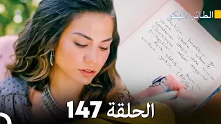 مسلسل الطائر المبكر الحلقة 147 (Arabic Dubbed)