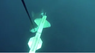 Shark Attacks Drone Underwater