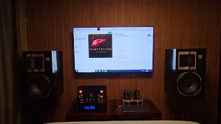 ESS AMT1B Bookshelf/Willsenton R800i 805A 300B Integrated Tube Amp