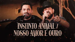 Fernando & Sorocaba - Instinto Animal / Nosso Amor É Ouro (Clipe Oficial)