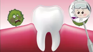 Wie schützt man Zähne vor Zucker?