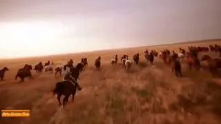 A New Beed Of Horses Native American Music~432hz~