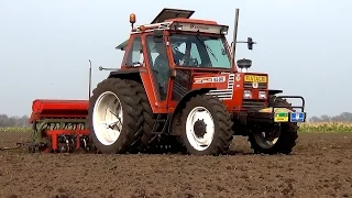 Tarwe zaaien met Fiatagri 85-90 Turbo DT en Nodet zaaimachine (2015)