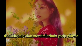 AILEE (에일리) - Spring Flowers (봄꽃) Türkçe Altyazılı