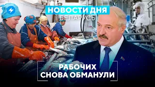 Скандал на минском комбинате / Картошка под запретом / Австрия поможет беларусам / Новости Беларуси