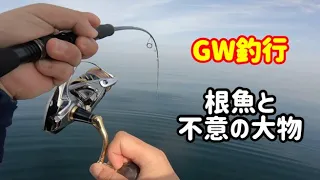 【ゴムボート】奈多・志賀島沿岸で根魚フィーバーとバケモノとの遭遇