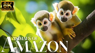 Amazon Animals In 8K ULTRA HD | Wild Animals of Rainforest