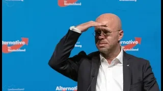 SACHSEN UND BRANDENBURG: AfD fällt zurück - Altparteien gewinnen an Zuspruch