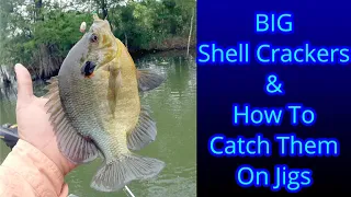 Shellcracker Fishing  - Redear Fishing  - Bluegill Fishing - How To Catch Bluegill With Jigs