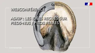 ASKIP : les idées reçues sur pieds nus / pieds ferrés - Pierre Auque et Franck Tabac