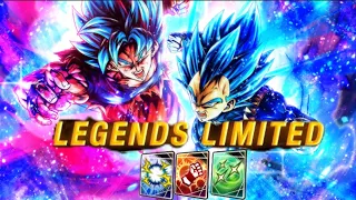 (Legends Festival) LF Tag SSBKK Goku & SSBE Vegeta Concept |Dragon Ball Legends
