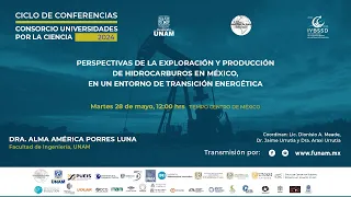Perspectivas de la exploración y producción de hidrocarburos en México en un entorno de transición..