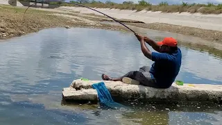 Best Fishing Technique|Fishing for Tilapia fishes to Catch With Singal Hook|Unique fishing