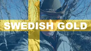 Swedish Gold