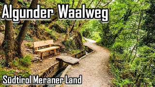 Traumhafte Ausblicke - Der Algunder Waalweg in Südtirol bei Meran